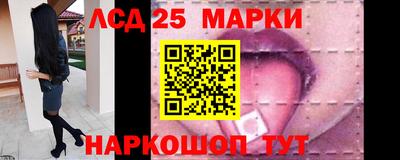 шишки Тара