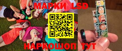 шишки Тара