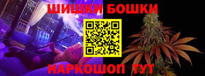 шишки Тара