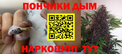 шишки Тара