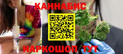 шишки Тара