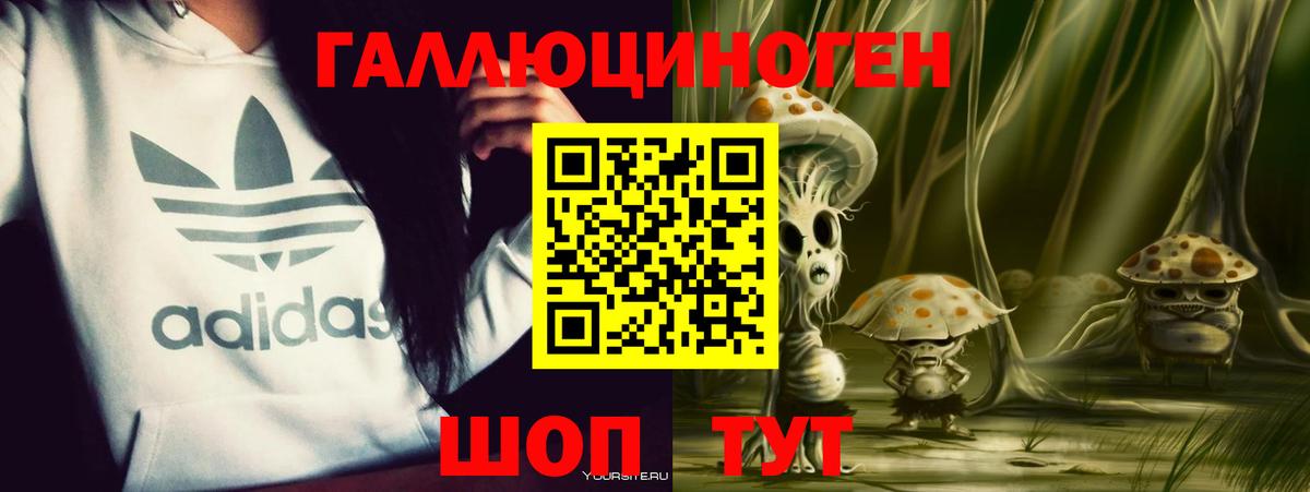 Галлюциногенные грибы Psilocybe Богданович