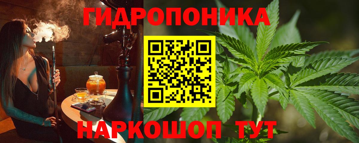 Шишки марихуана конопля  Вход с VPN  Богданович  Каннабис AK-47  Марихуана планчик 